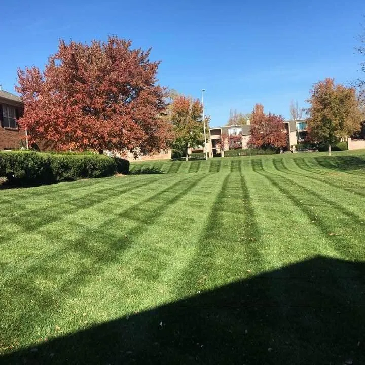 Expert lawn mowing service experts serving Overland Park, KS - Rivera's Landscaping and Lawn Services
