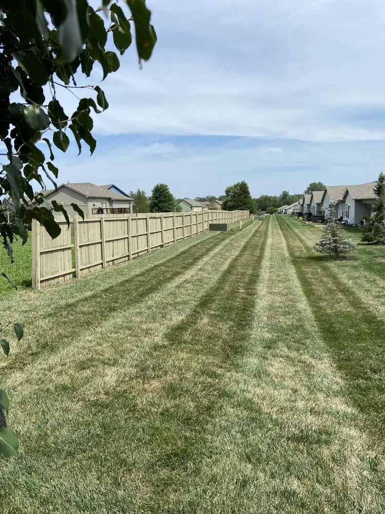 Expert yard cleanup service experts serving Overland Park, KS - Rivera's Landscaping and Lawn Services