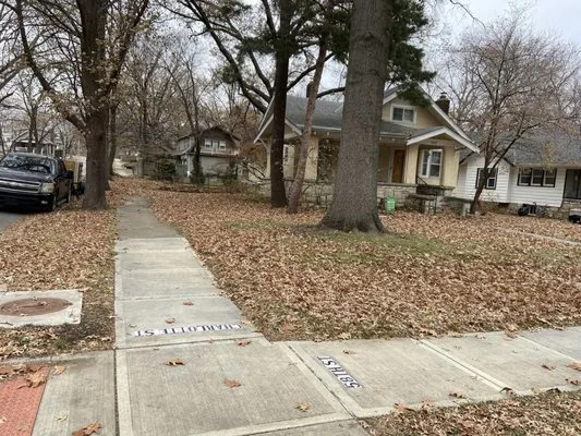 Rivera's Landscaping and Lawn Services Logo