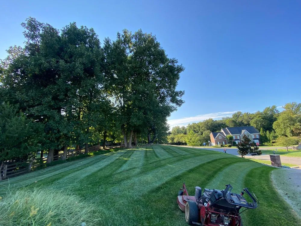 Reliable yard cleanup service for homes in Herndon, VA by Rivera's Landscaping and Tree Service