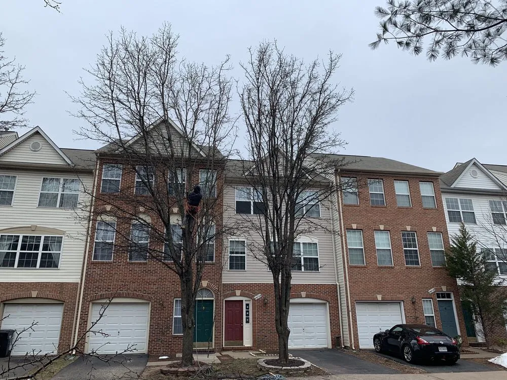 Custom yard cleanup service near you across Herndon, VA - Rivera's Landscaping and Tree Service