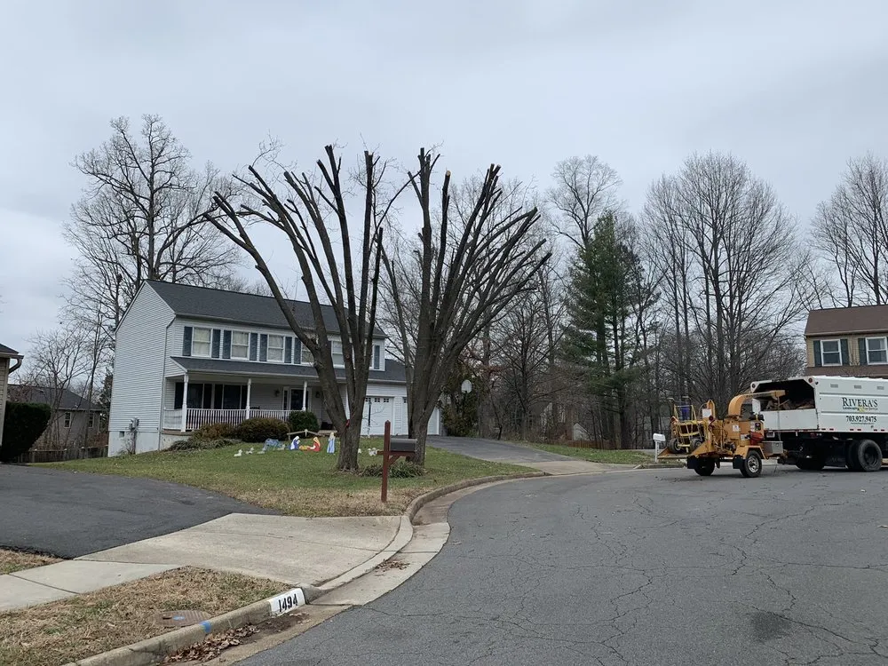 Affordable landscape installation in Herndon, VA by Rivera's Landscaping and Tree Service