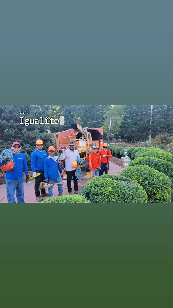 Expert landscape installation for outdoor upgrades across Herndon, VA - Rivera's Landscaping and Tree Service