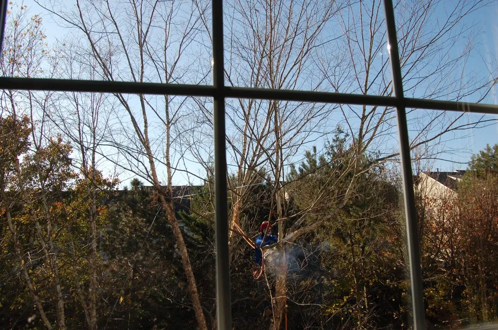 Expert lawn mowing service in Herndon, VA by Rivera's Landscaping and Tree Service