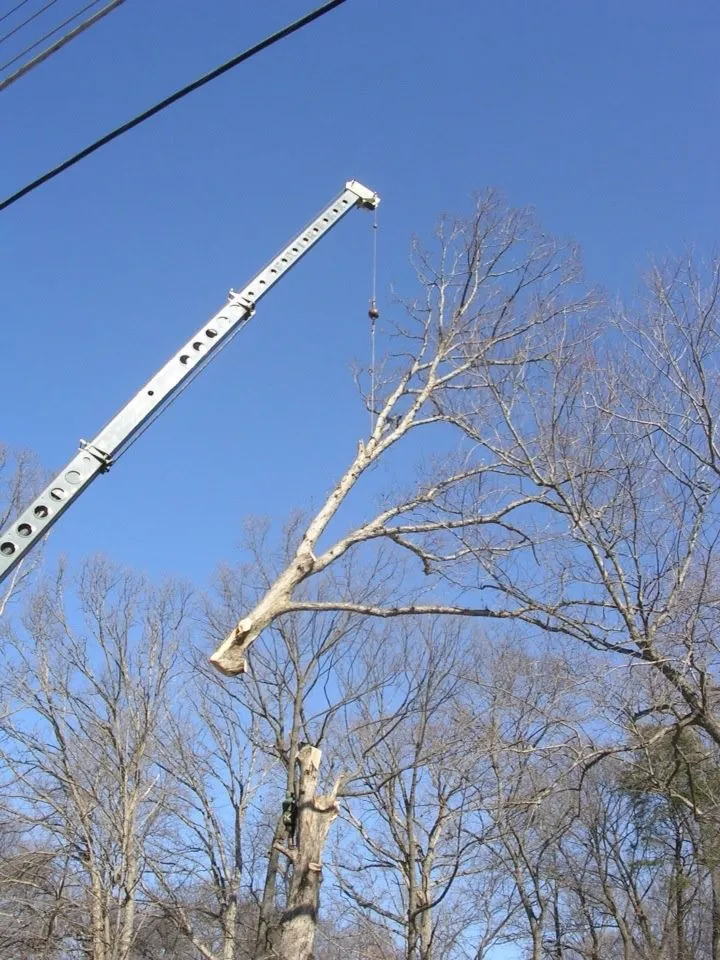 Reliable outdoor landscaping with custom design in Herndon, VA by Rivera's Landscaping and Tree Service