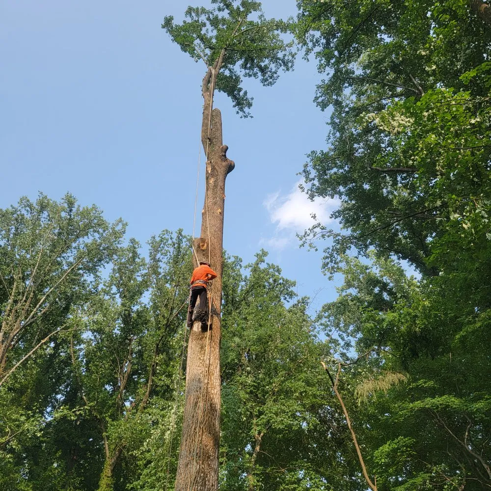 Professional garden landscaping for year-round maintenance across Herndon, VA - Rivera's Landscaping and Tree Service