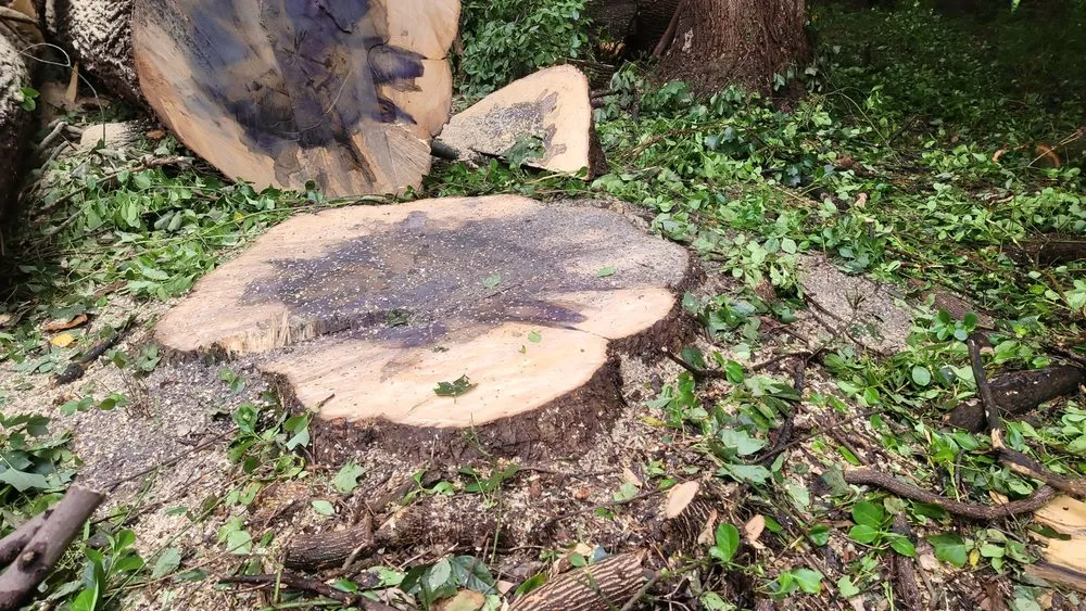 Custom garden landscaping near you across Herndon, VA - Rivera's Landscaping and Tree Service