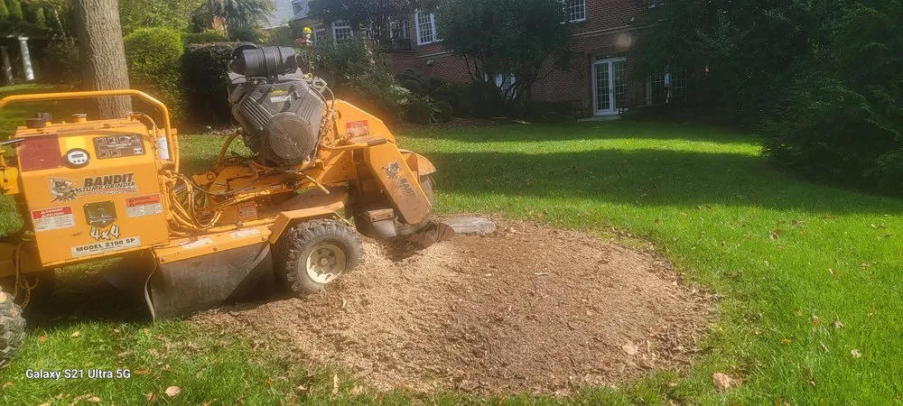 Trusted garden landscaping near you in Herndon, VA by Rivera's Landscaping and Tree Service