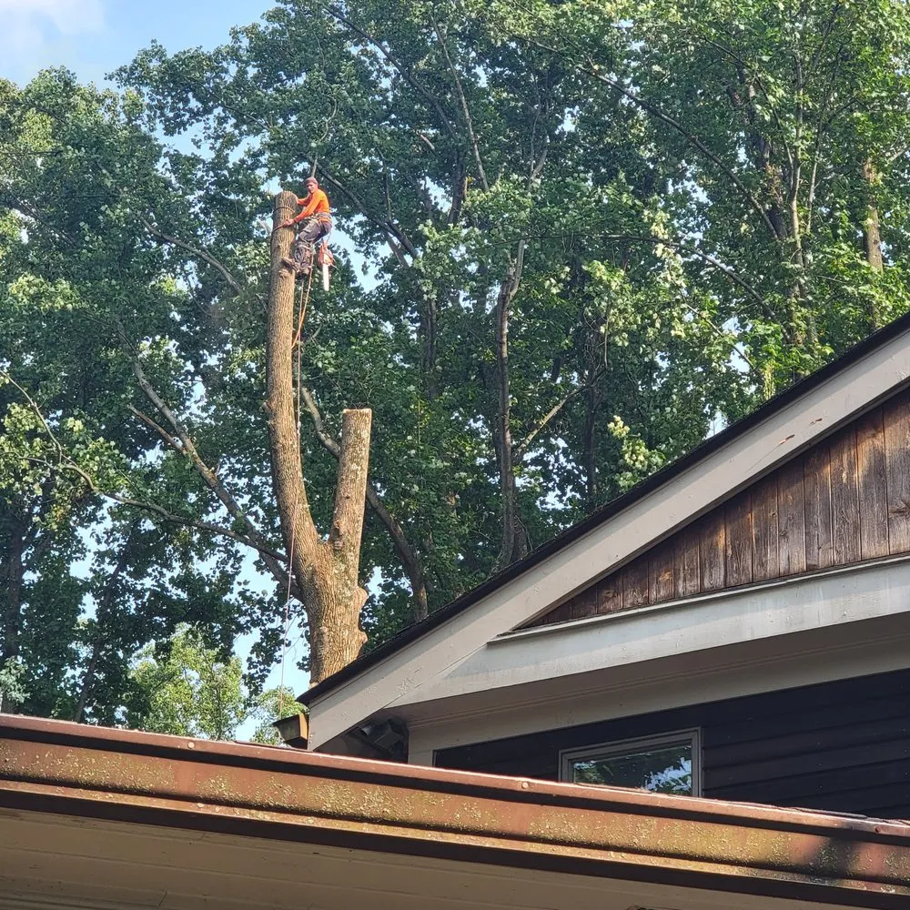 Professional yard cleanup service in Herndon, VA - Rivera's Landscaping and Tree Service