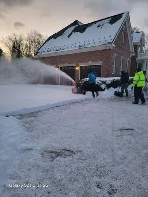 Rivera's Landscaping and Tree Service