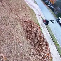 Custom lawn mowing service for beautiful yards across Bee Cave, TX - Rivera's Landscaping