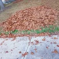 Professional lawn mowing service in Bee Cave, TX by Rivera's Landscaping