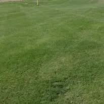 Trusted landscape installation for residential properties across Bee Cave, TX - Rivera's Landscaping