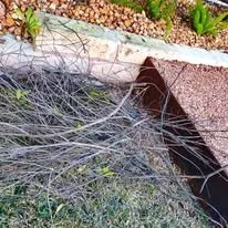 Top-rated landscaping services for beautiful yards in Bee Cave, TX by Rivera's Landscaping