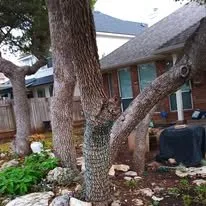 Reliable yard maintenance in Bee Cave, TX - Rivera's Landscaping