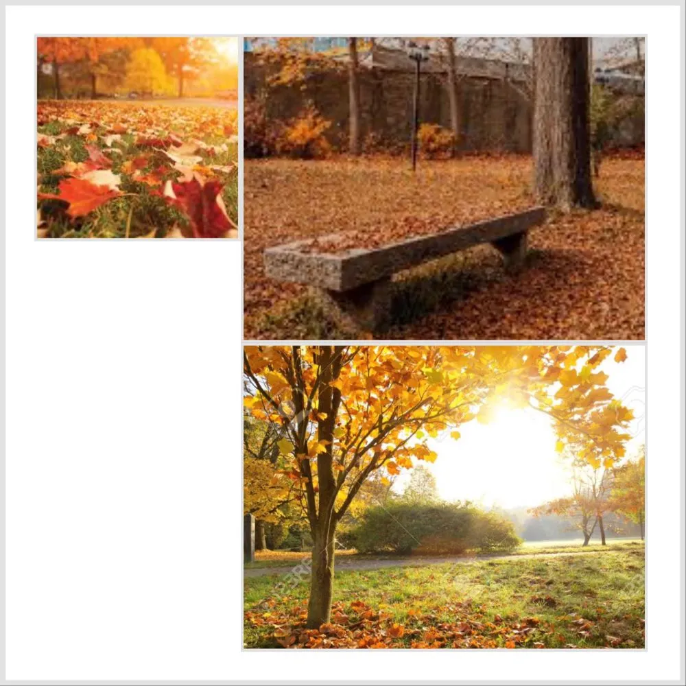 Professional landscape design in cockeysville, MD by Rivera’s Landscaping