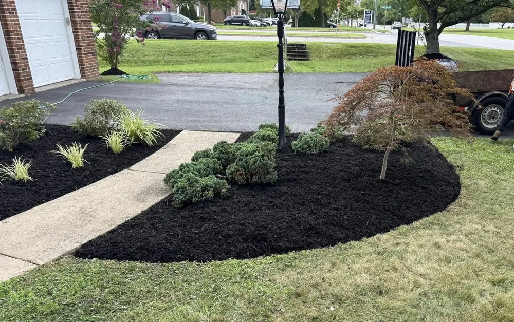 Professional landscaping services for beautiful yards across cockeysville, MD - Rivera’s Landscaping