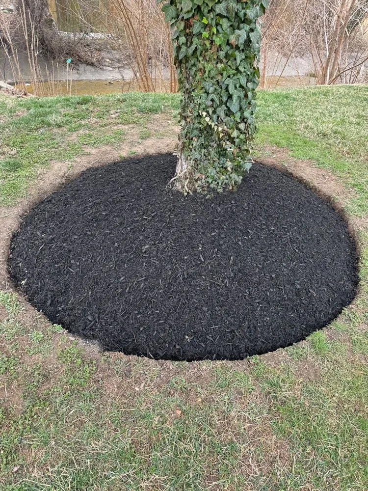 Expert residential landscaping in cockeysville, MD by Rivera’s Landscaping