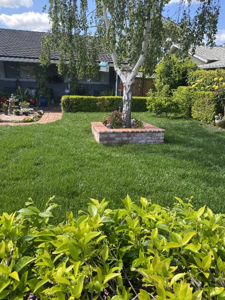 Affordable outdoor landscaping in Pittsburg, CA - Rivera's Landscaping Services