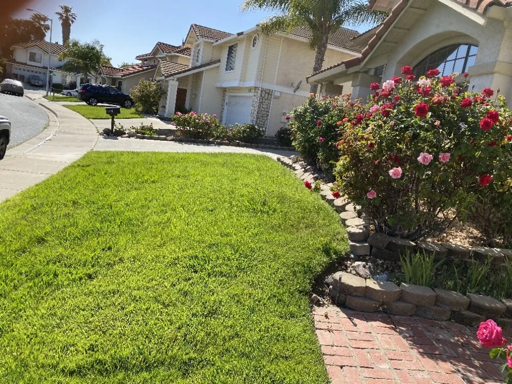 Top-rated lawn care service for beautiful yards in Pittsburg, CA by Rivera's Landscaping Services