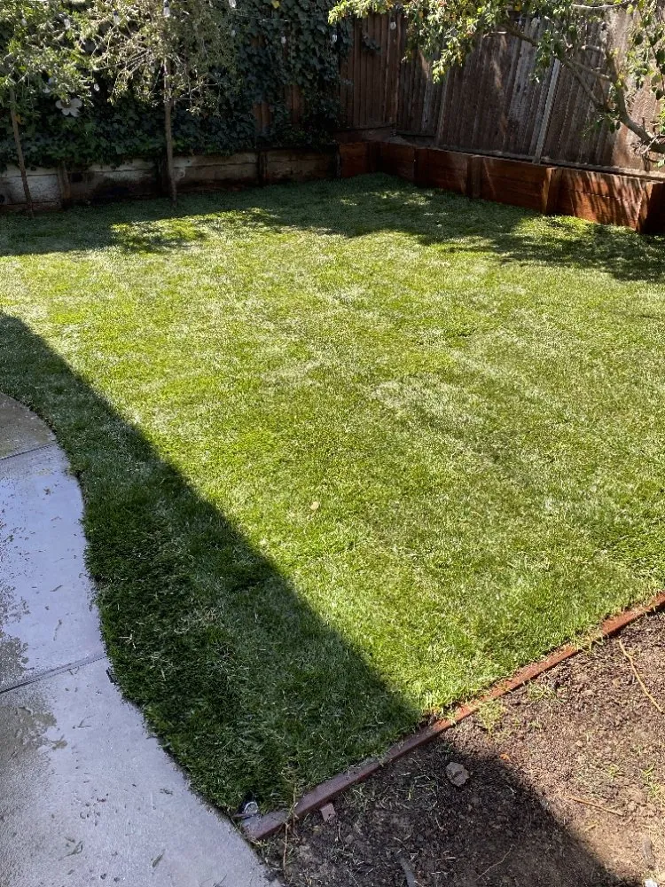 Top-rated residential landscaping experts serving Pittsburg, CA - Rivera's Landscaping Services