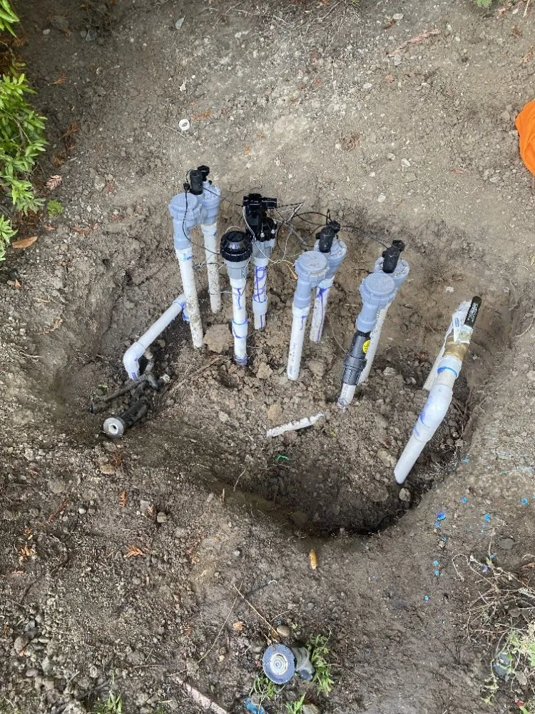 Custom yard cleanup service for homes in Pittsburg, CA by Rivera's Landscaping Services