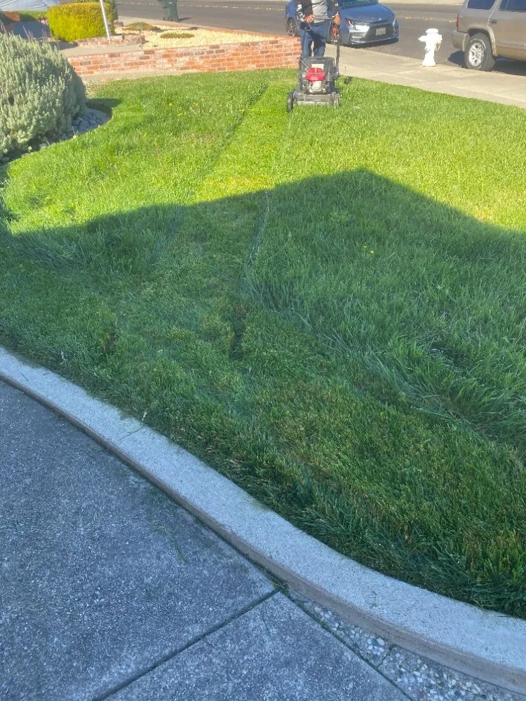 Trusted yard maintenance with custom design in Pittsburg, CA by Rivera's Landscaping Services