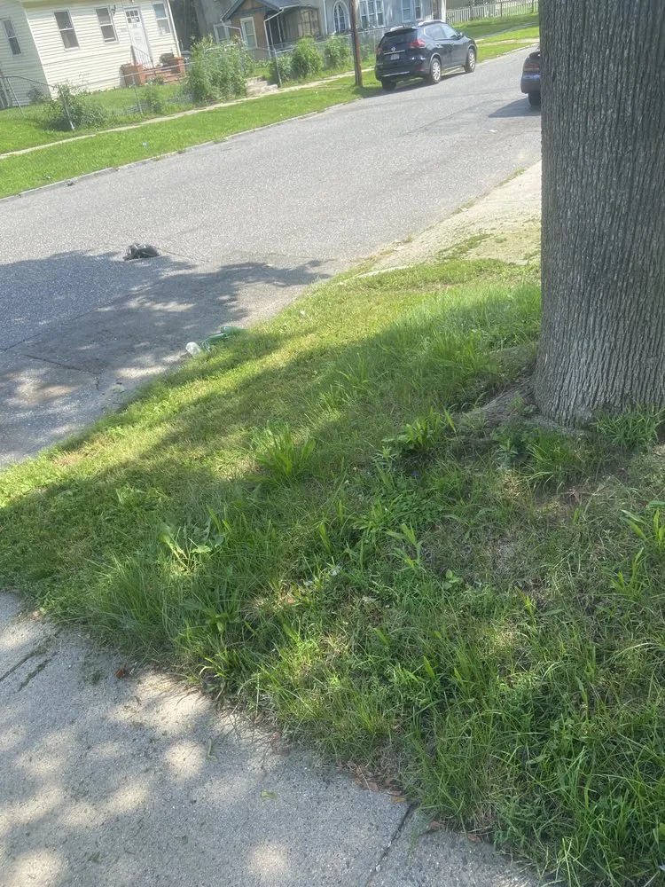 Top-rated landscaping services in Springfield, MA - Rivera’s Landscaping