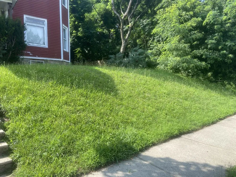 Professional lawn care service in Springfield, MA by Rivera’s Landscaping