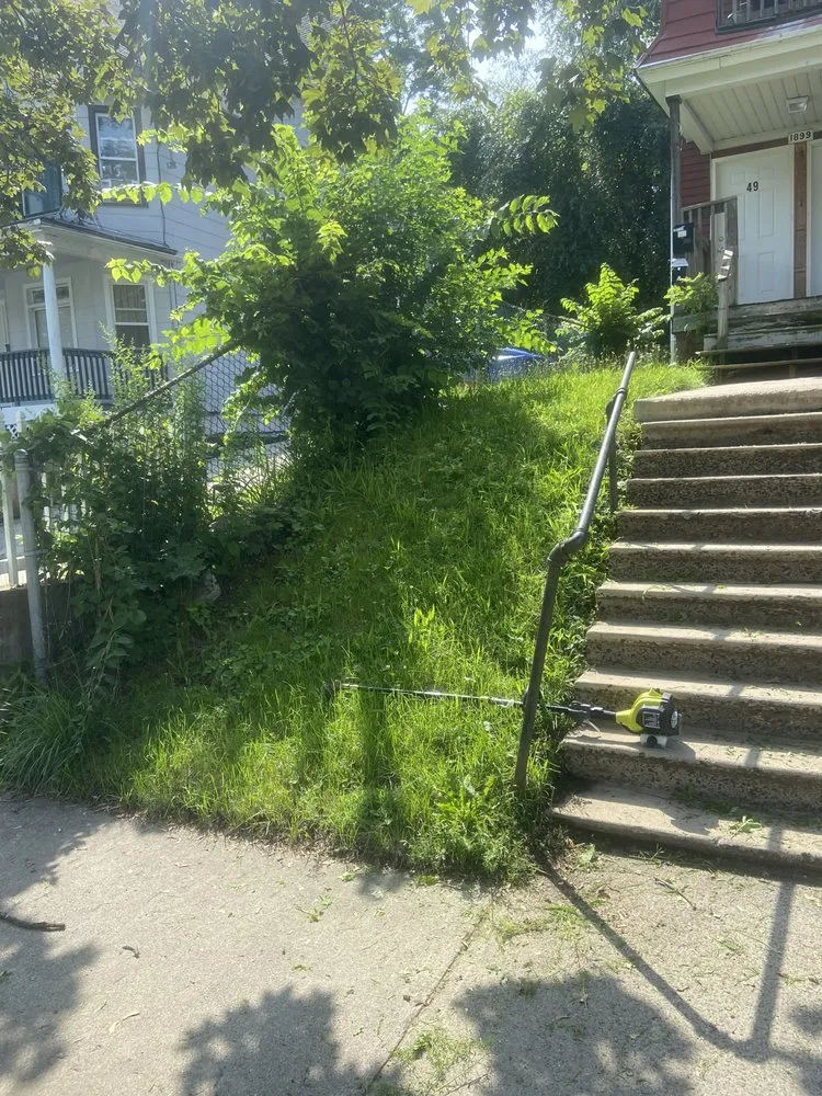 Affordable landscape installation near you across Springfield, MA - Rivera’s Landscaping