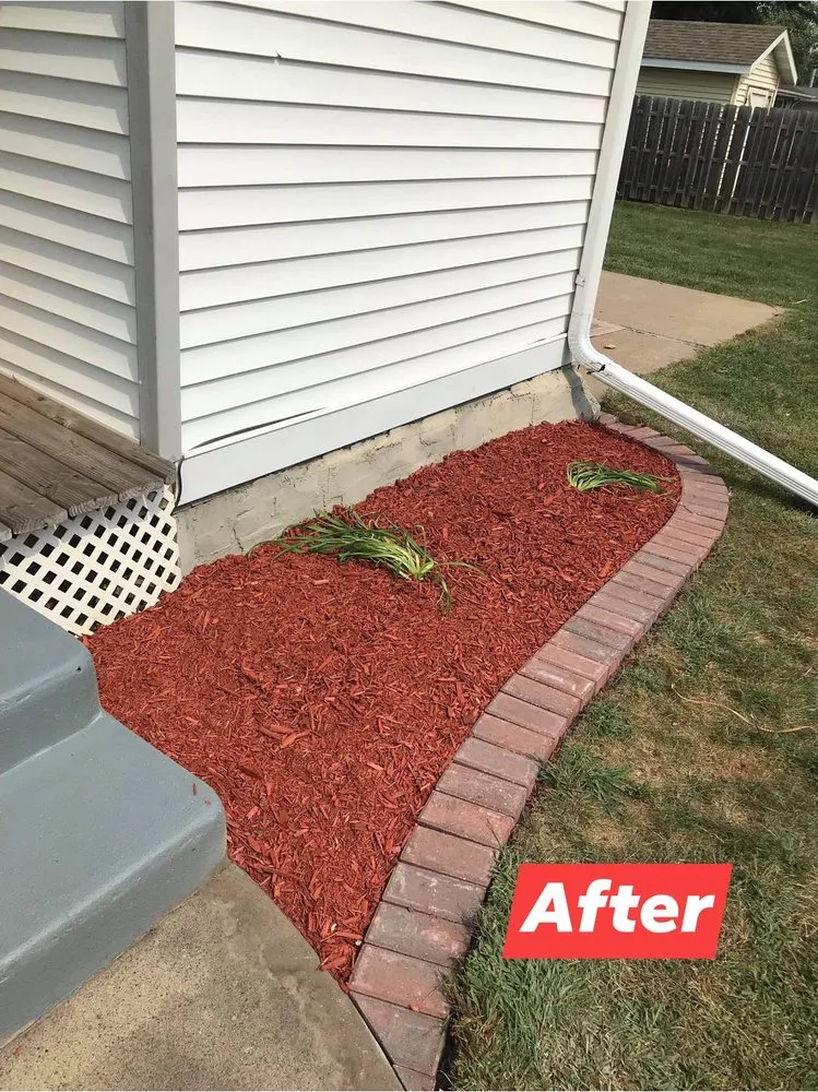 Expert yard cleanup service experts serving Rock Island, IL - Rivera’s Landsping