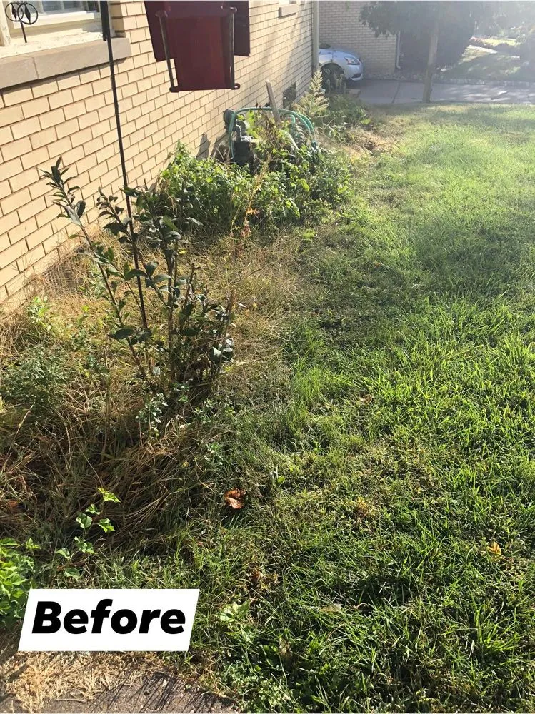 Reliable landscaping services in Rock Island, IL - Rivera’s Landsping