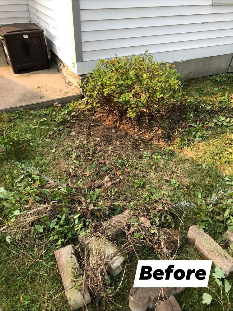 Local outdoor landscaping for homes across Rock Island, IL - Rivera’s Landsping