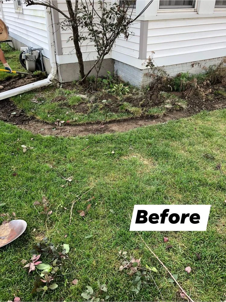 Reliable lawn care service in Rock Island, IL by Rivera’s Landsping