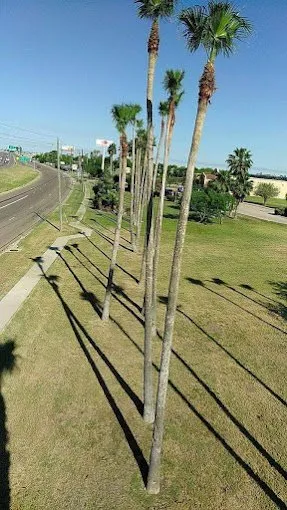 Reliable lawn care service for beautiful yards across Donna, TX - Rivera's Lawn & Landscaping