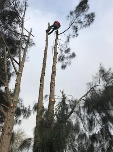 Top-rated garden landscaping for homes in Donna, TX by Rivera's Lawn & Landscaping