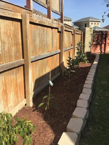 Local yard cleanup service in Donna, TX - Rivera's Lawn & Landscaping