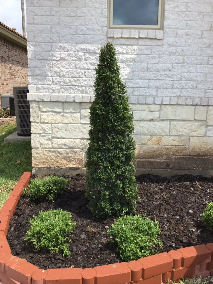 Top-rated outdoor landscaping for outdoor upgrades in La Feria, TX by Rivera's Lawn & Landscaping