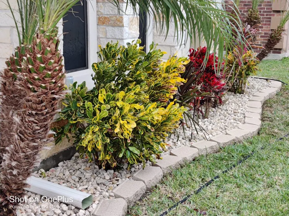 Reliable lawn mowing service experts serving La Feria, TX - Rivera's Lawn & Landscaping