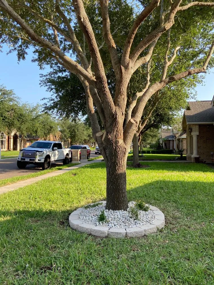 Expert garden landscaping with custom design across Mission, TX - Rivera's Lawn & Landscaping