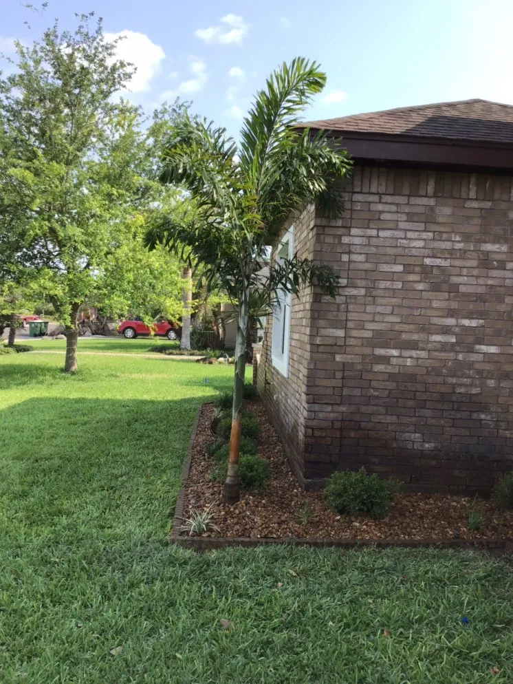Top-rated landscape installation for beautiful yards in Mission, TX by Rivera's Lawn & Landscaping