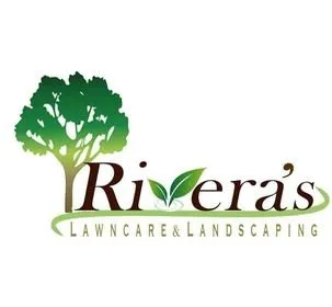 Reliable yard cleanup service in Mission, TX by Rivera's Lawn & Landscaping