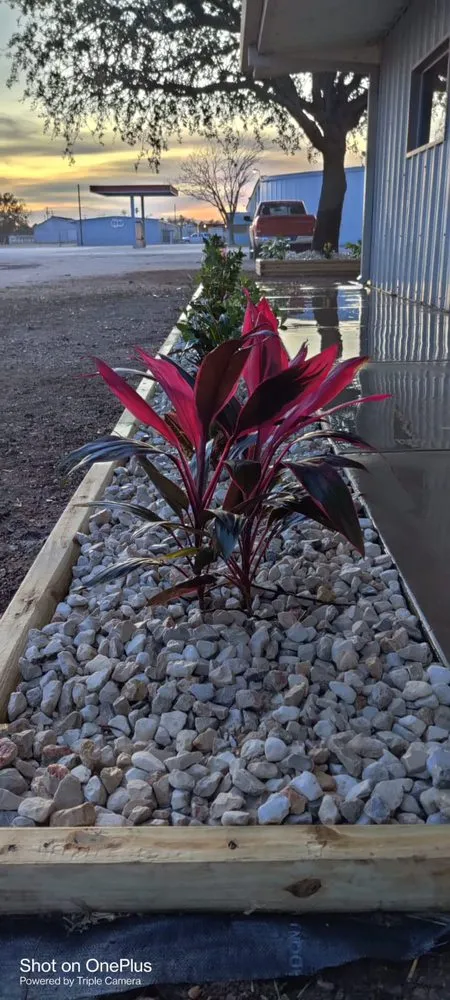 Local garden landscaping experts serving Mission, TX - Rivera's Lawn & Landscaping