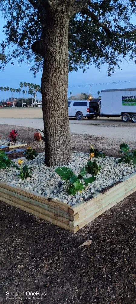 Reliable outdoor landscaping experts serving Mission, TX - Rivera's Lawn & Landscaping