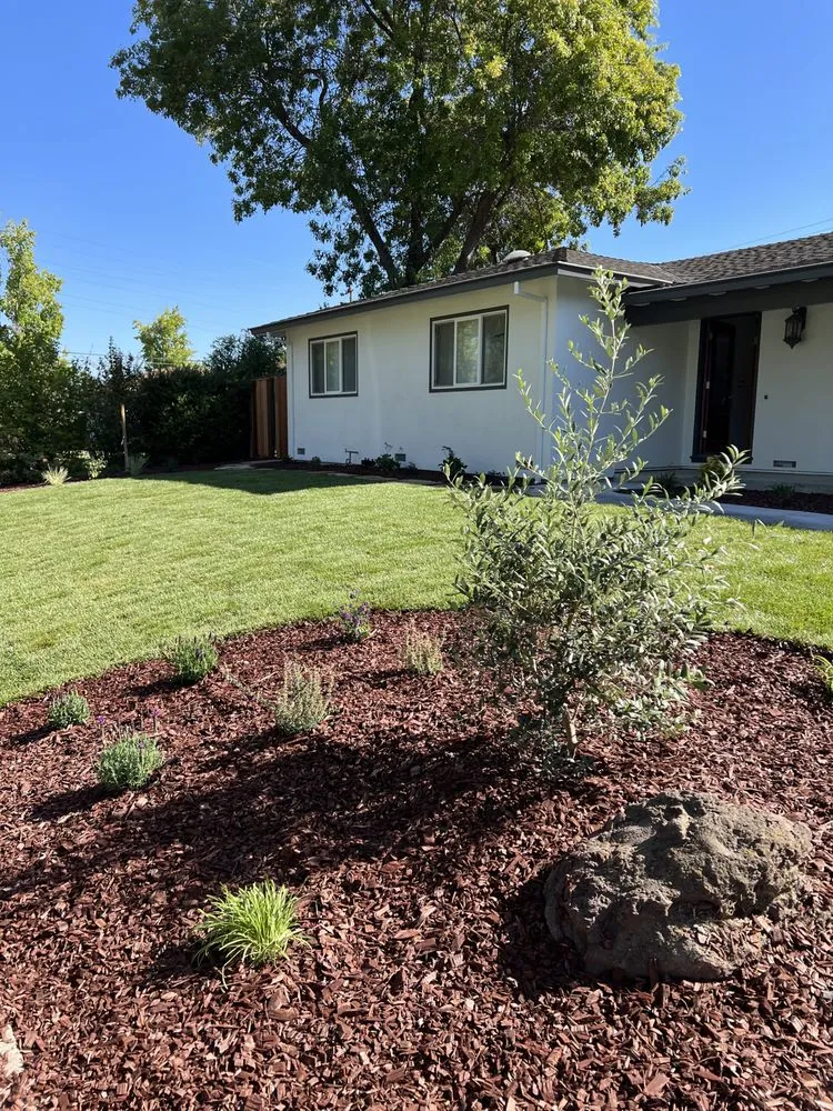 Expert outdoor landscaping experts serving San Jose, CA - Rivera’s Lawn Care