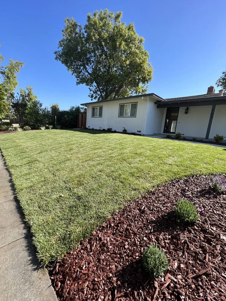 Local outdoor landscaping for outdoor upgrades across San Jose, CA - Rivera’s Lawn Care