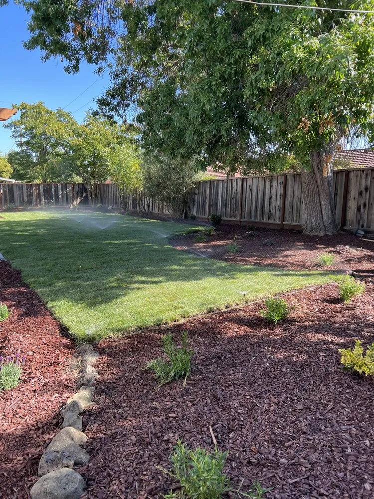 Expert landscape installation in San Jose, CA - Rivera’s Lawn Care