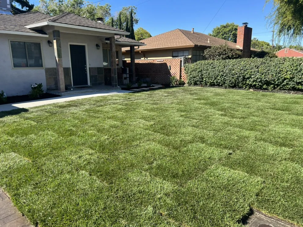 Local yard maintenance for year-round maintenance across San Jose, CA - Rivera’s Lawn Care