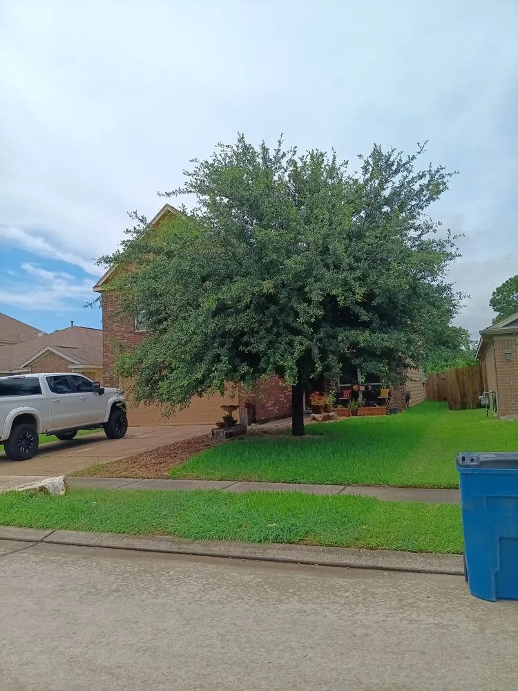 Reliable residential landscaping for year-round maintenance across Spring, TX - Rivera’s Lawn Care Services