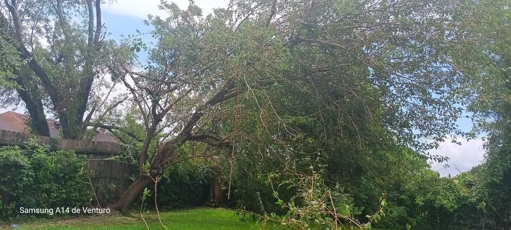 Affordable landscaping services for outdoor upgrades across Spring, TX - Rivera’s Lawn Care Services